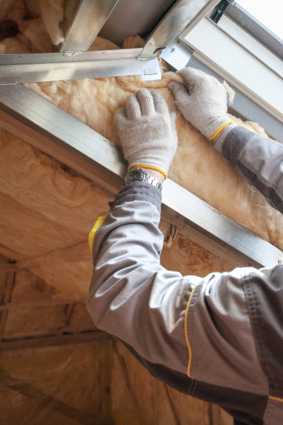 Best Insulation Maintenance and Repair in Kenworth, IL
